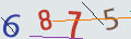 verifycode